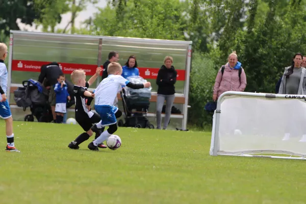 28. Rabencup 2024 / Bambinis