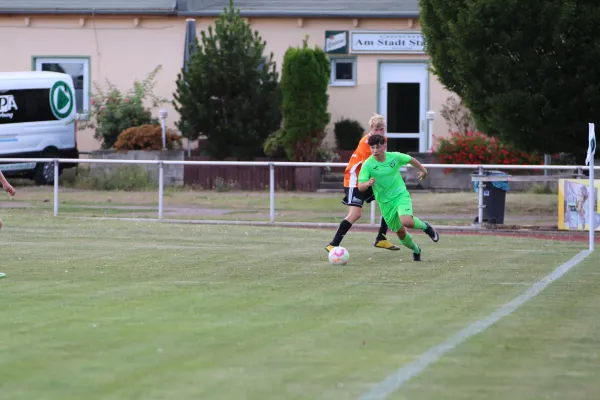 SV Merseburg 99 : VFL Roßbach / Pokal Runde 1.