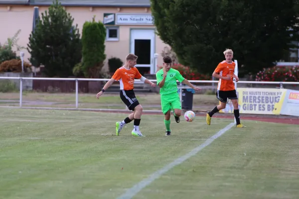 SV Merseburg 99 : VFL Roßbach / Pokal Runde 1.