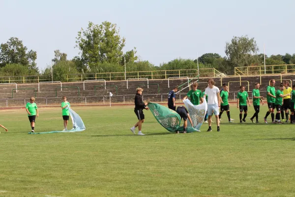 SV Merseburg 99 : 	Bl.-W. Günthersdorf