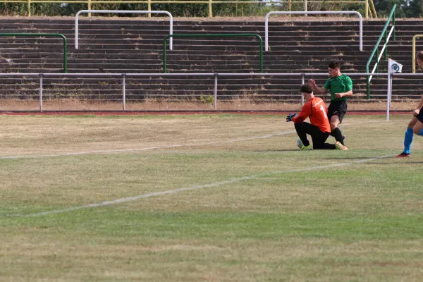 SV Merseburg 99 : 	Bl.-W. Günthersdorf