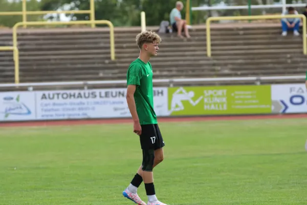 SV Merseburg 99 - 	Günth./Zösch./Meusch