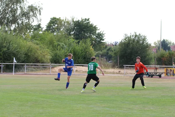 SV Merseburg 99 - 	Günth./Zösch./Meusch