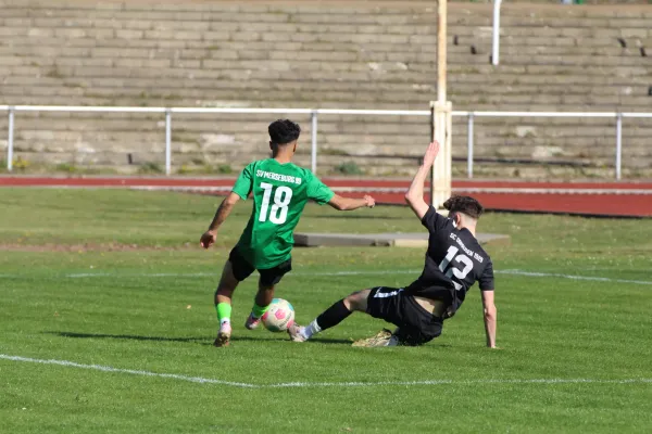 SV Merseburg 99 : SC Obhausen 1929