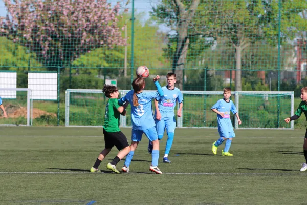 SV Merseburg 99 :  MSV Eisleben