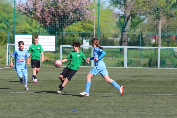 SV Merseburg 99 :  MSV Eisleben