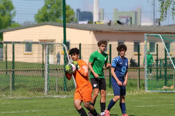 SV Merseburg 99 : Turbine Halle