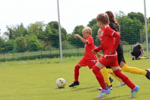 29.RabenCup F.-Jugend