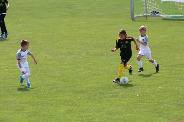 29.RabenCup F.-Jugend