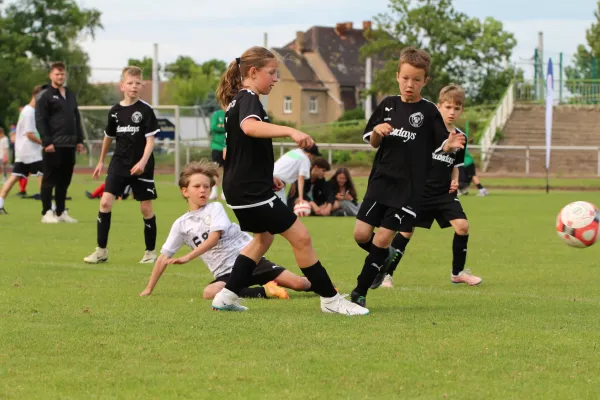29. RabenCup E.-Jugend