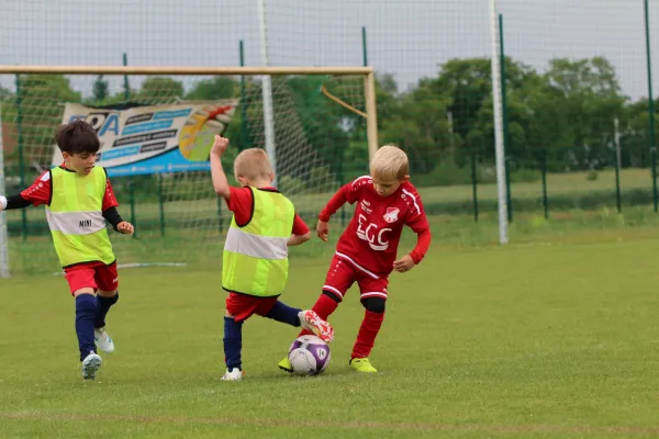 29. RabenCup Bambini