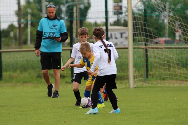 29. RabenCup Bambini