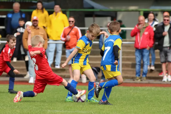 29. RabenCup Bambini