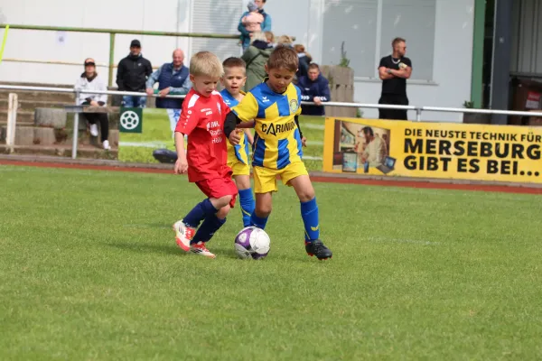 29. RabenCup Bambini
