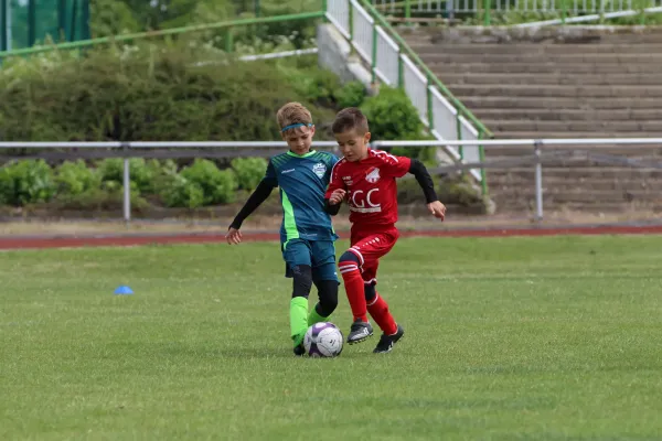29. RabenCup Bambini