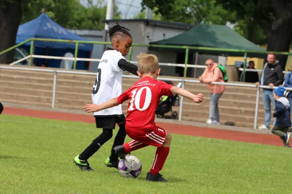 29. RabenCup Bambini