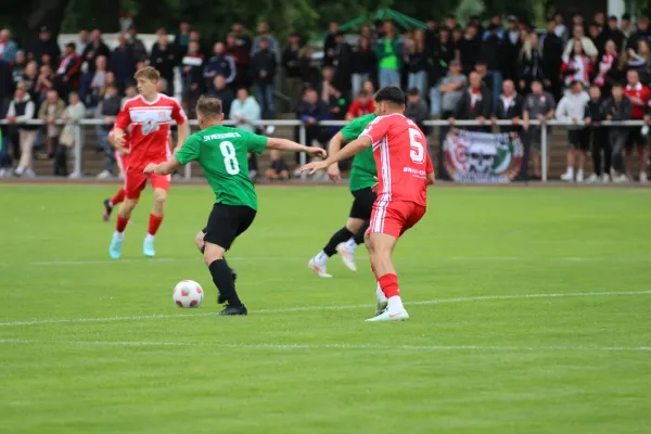Festwoche beim SV Merseburg 99 - HFC