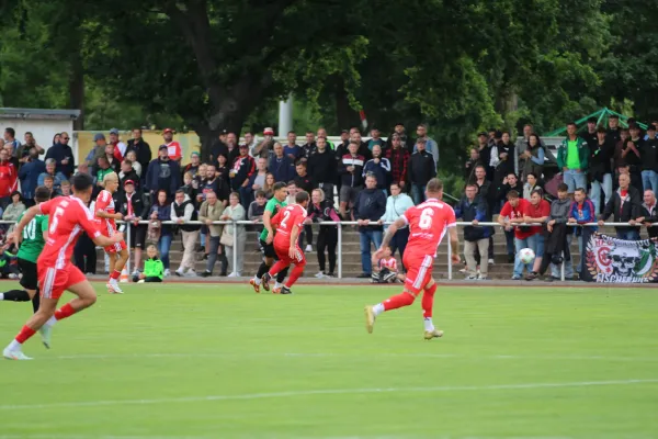 Festwoche beim SV Merseburg 99 - HFC