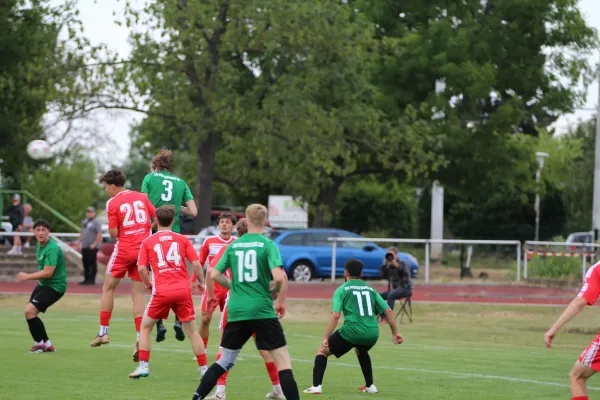 Festwoche beim SV Merseburg 99 - HFC