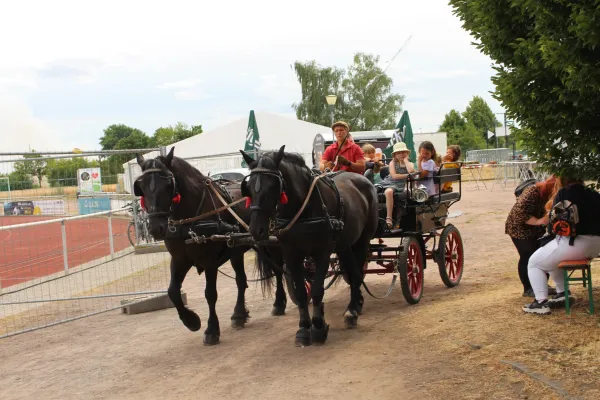 Festwoche beim SV Merseburg 99 3.