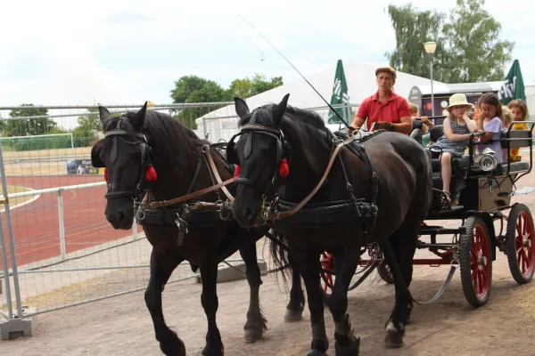 Festwoche beim SV Merseburg 99 3.