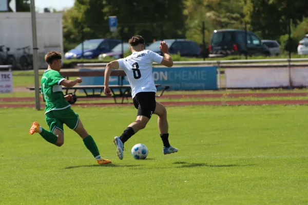 SV Merseburg 99 - NSG