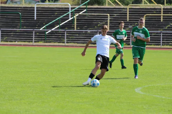 SV Merseburg 99 - NSG