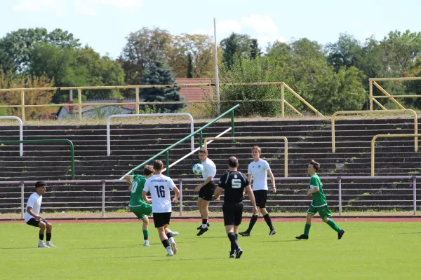 SV Merseburg 99 - NSG
