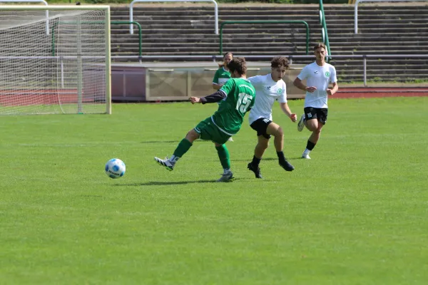 SV Merseburg 99 - NSG