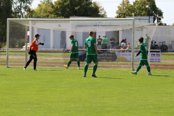 SV Merseburg 99 - NSG