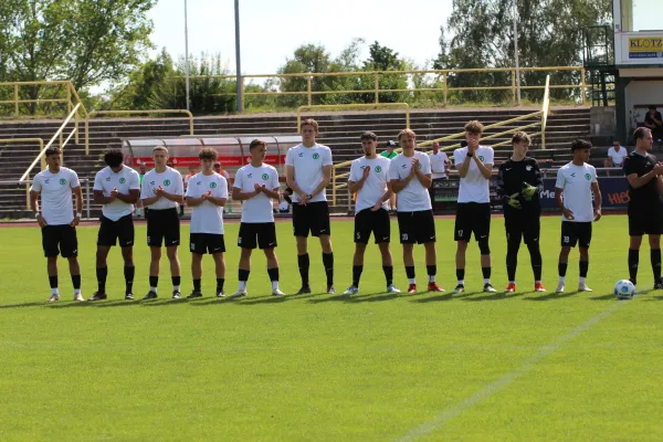 SV Merseburg 99 - NSG