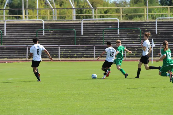 SV Merseburg 99 - NSG