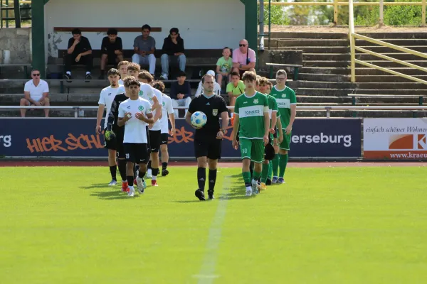 SV Merseburg 99 - NSG