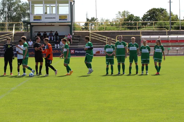 SV Merseburg 99 - NSG