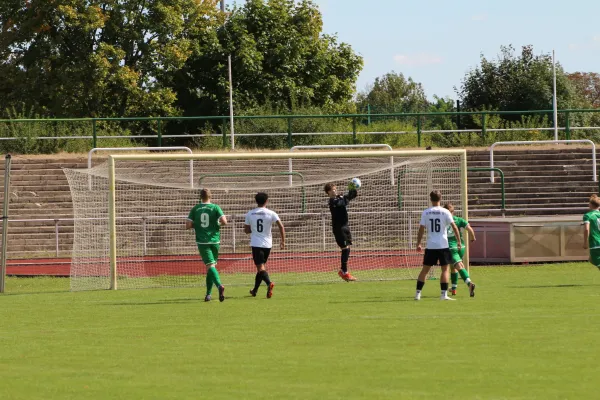 SV Merseburg 99 - NSG