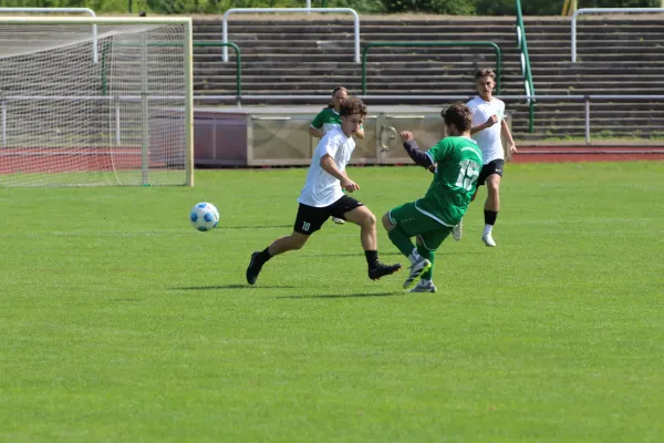 SV Merseburg 99 - NSG