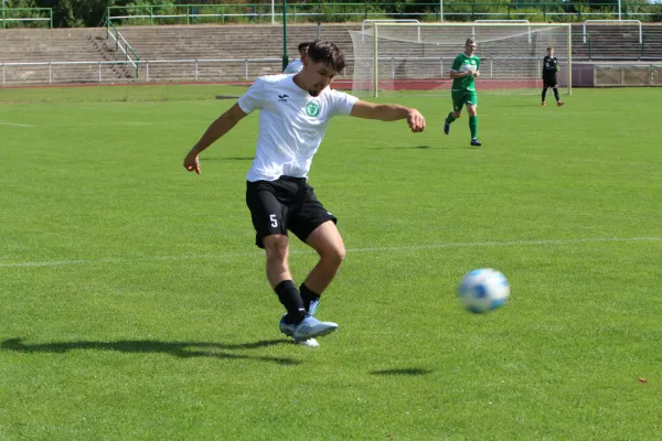 SV Merseburg 99 - NSG