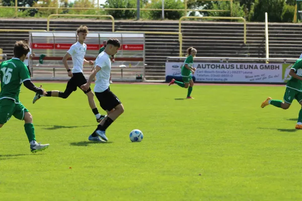 SV Merseburg 99 - NSG