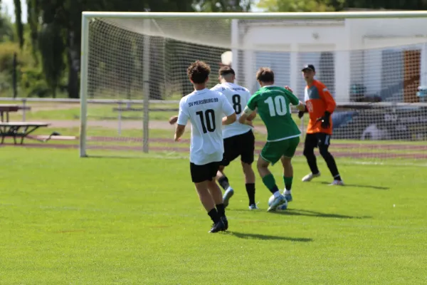 SV Merseburg 99 - NSG