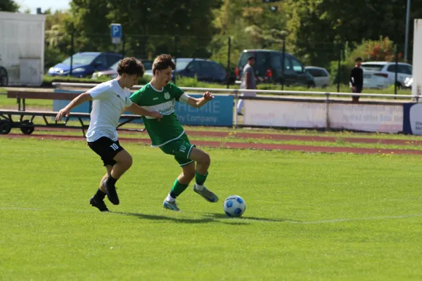 SV Merseburg 99 - NSG