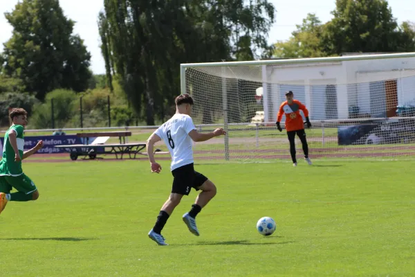 SV Merseburg 99 - NSG