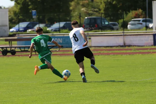 SV Merseburg 99 - NSG