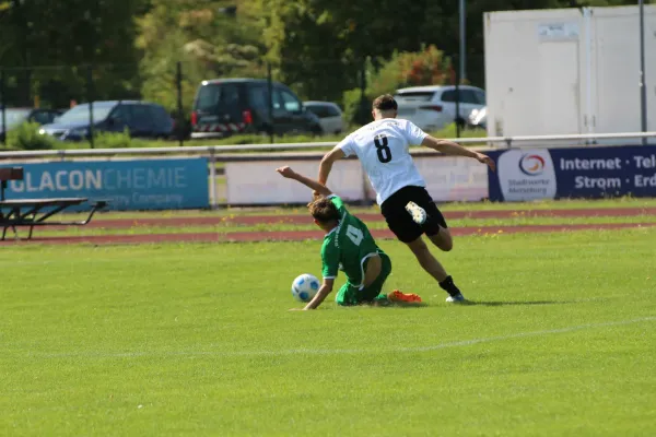SV Merseburg 99 - NSG