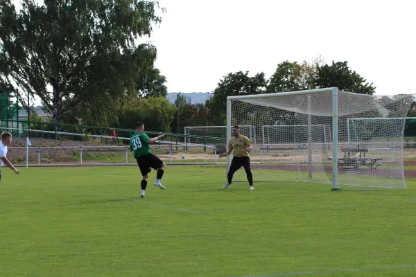 SV Merseburg 99 - Wettiner SV