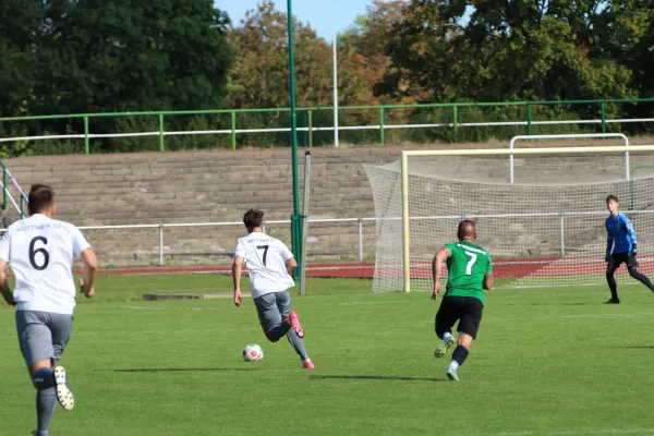 SV Merseburg 99 - Wettiner SV