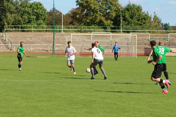 SV Merseburg 99 - Wettiner SV