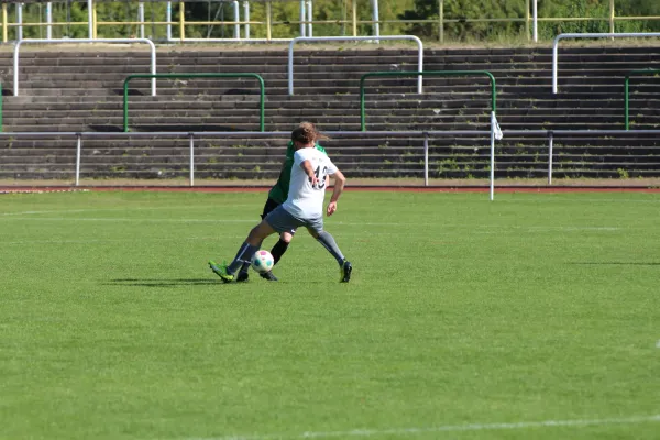 SV Merseburg 99 - Wettiner SV