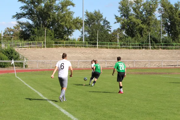 SV Merseburg 99 - Wettiner SV