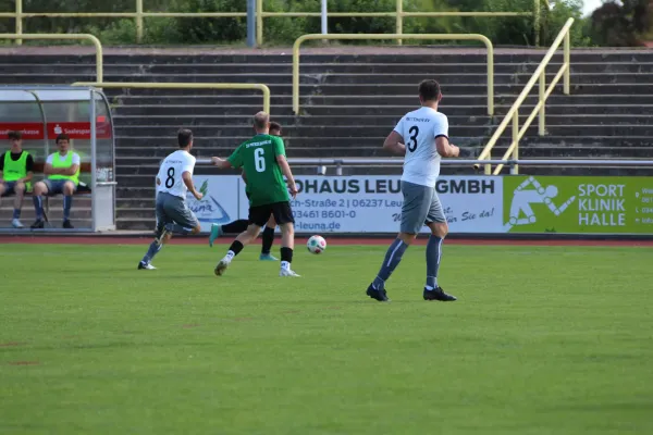 SV Merseburg 99 - Wettiner SV