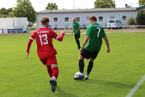 SV Merseburg 99 : 	SG Spergau
